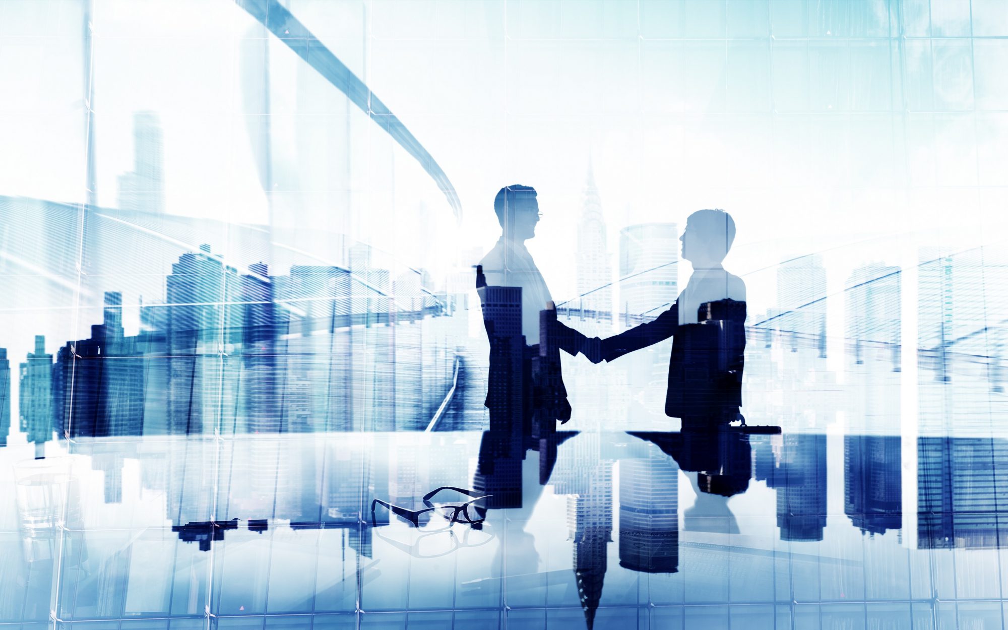 Fusioni - Acquisizioni - Transazioni societarie (4) Imc