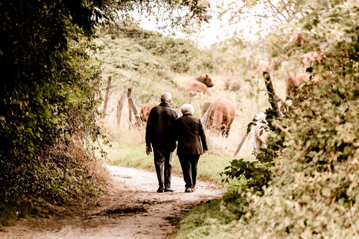 Pensioni - Anziani - Longevità Imc